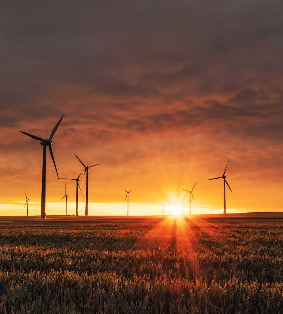 Wind turbines at golden hour